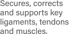 Secures, corrects and supports key ligaments, tendons and muscles 