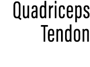 Quadriceps Tendon