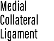 Medial Collateral Ligament