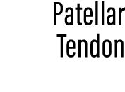 Patellar Tendon
