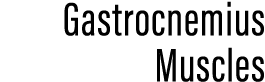 Gastrocnemius Muscles