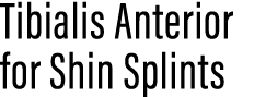 Tibialis Anterior for Shin Splints