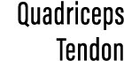 Quadriceps Tendon