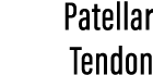 Patellar Tendon