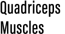 Quadriceps Muscles
