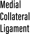 Medial Collateral Ligament